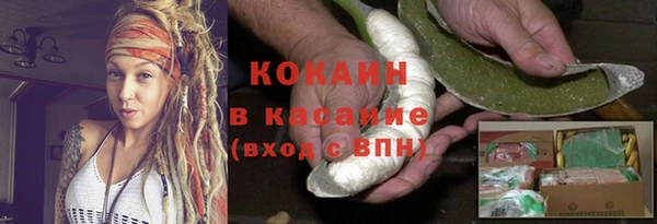 хмурый Арсеньев