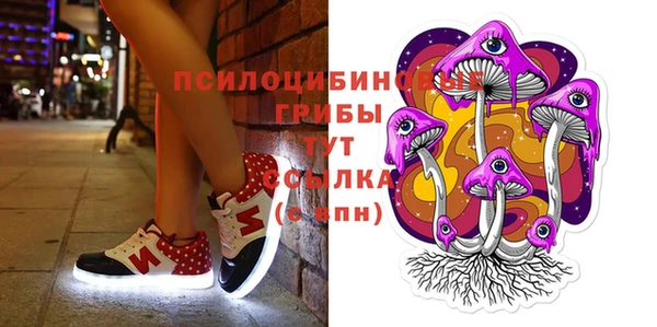 хмурый Арсеньев