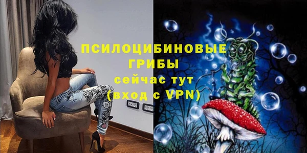 хмурый Арсеньев