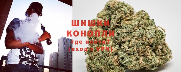хмурый Арсеньев