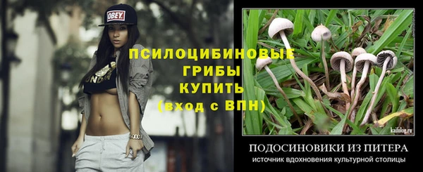 хмурый Арсеньев